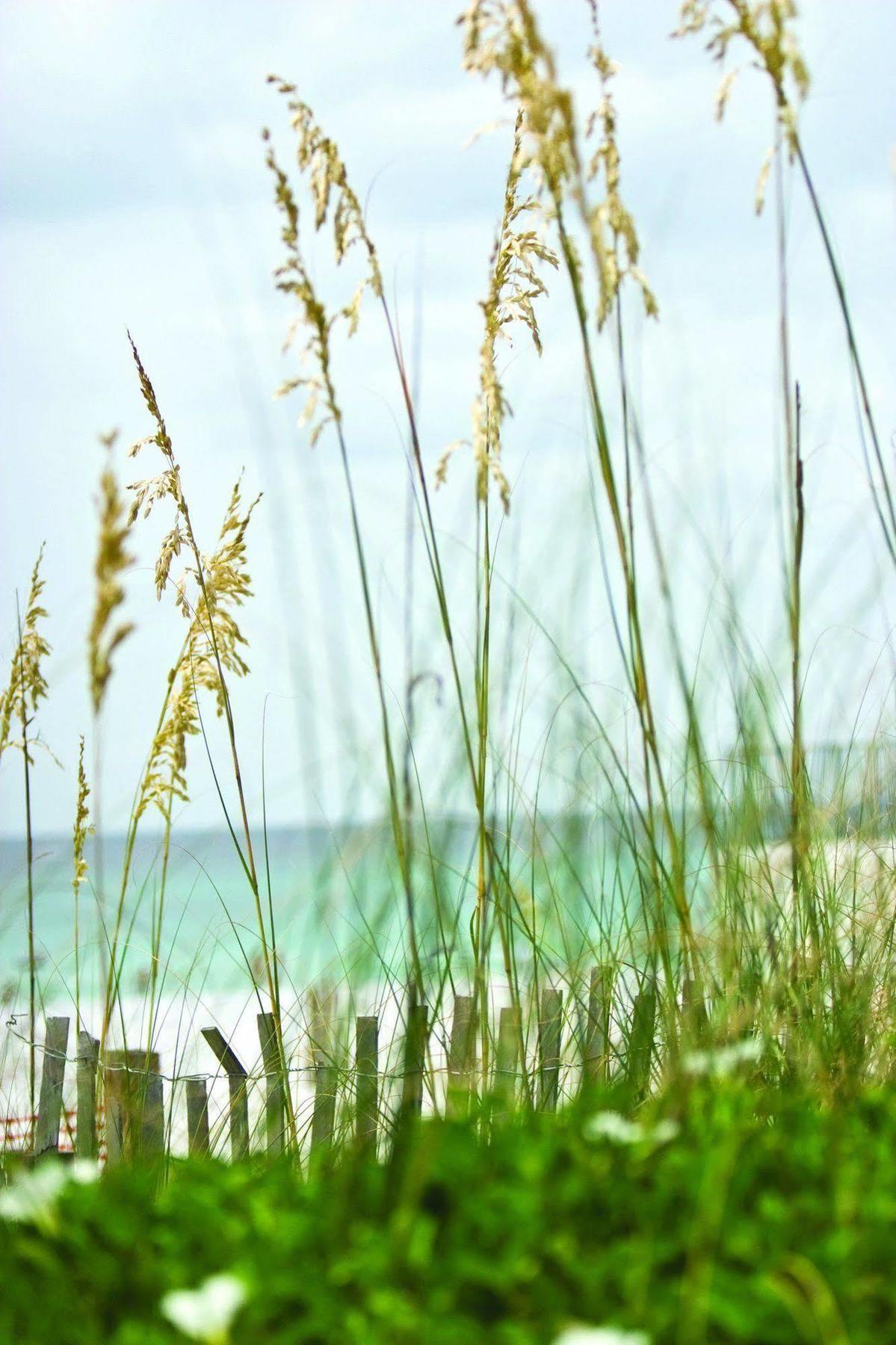 Club Wyndham Beach Street Cottages Miramar Beach Exteriér fotografie